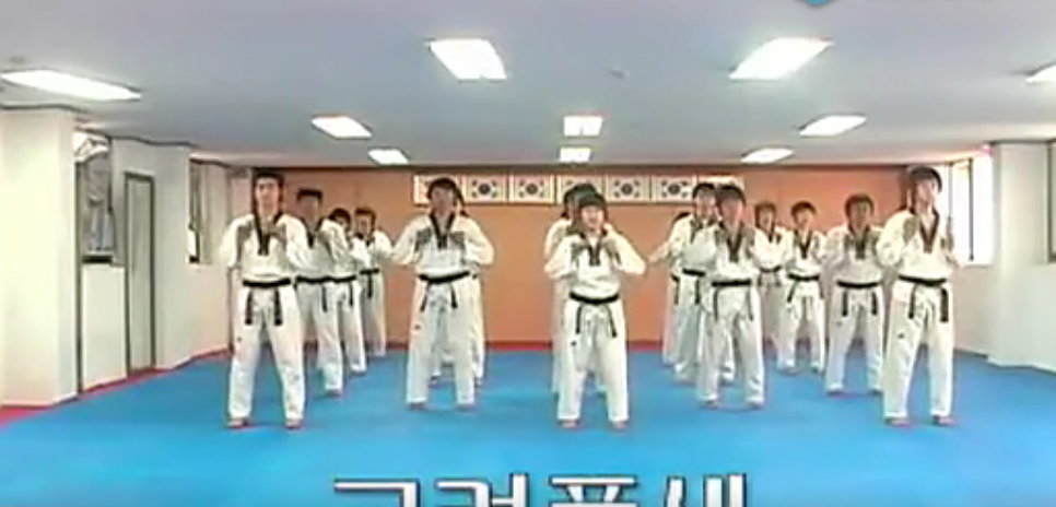 跆拳道品勢教學(xué)